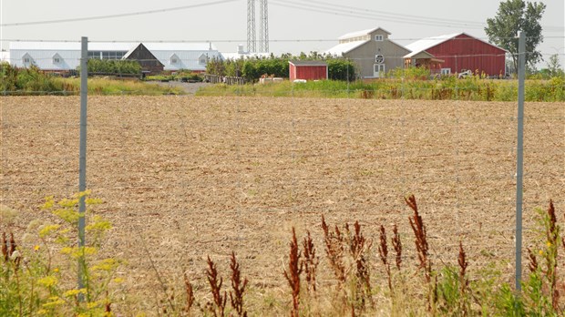 Des jardins communautaires à Chambly en 2012