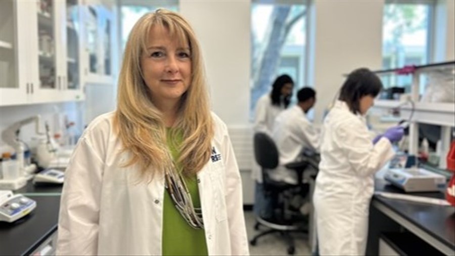 Une découverte montréalaise élucide l'épuisement des cellules immunitaires